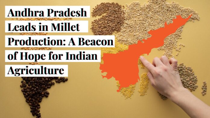 India's agriculture shifts: Andhra Pradesh leads millet yield, NABARD applauds.